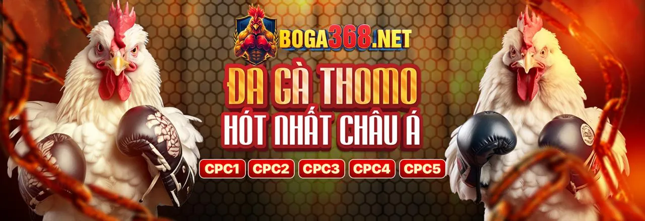 Sảnh Casino Trực Tuyến q68bet code